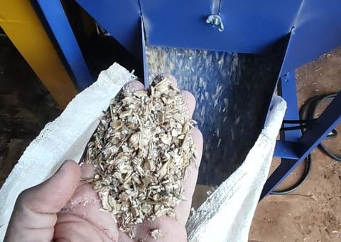 Cereal machacado saindo do IMC 50