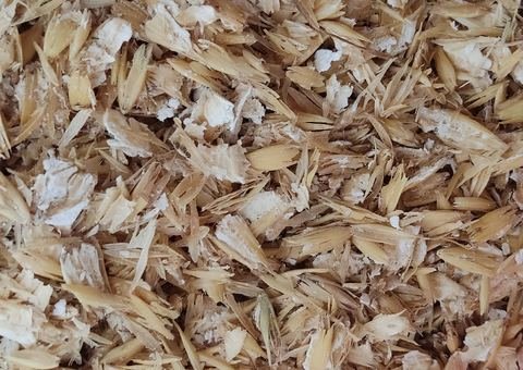 Detalhe do cereal processado